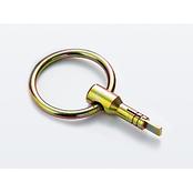 ボルトハーケン リング付き