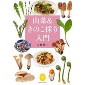 ヤマケイ文庫 山菜＆きのこ採り入門　見分け方や保存法、おいしく食べるコツ (レシピ)