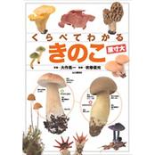 くらべてわかる きのこ (原寸大)