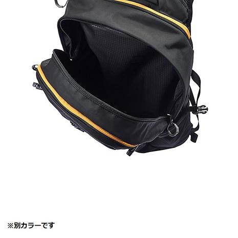 ナノ24 | Gregory | グレゴリー | KSFTPT-好日山荘(コウジツサンソウ