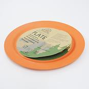 ラージディナープレート（Large Dinner Plate）