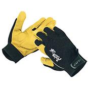 アクシオン ライト イエロー･ブラック