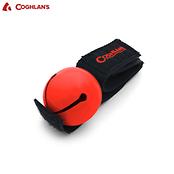 ベアーベル カラー