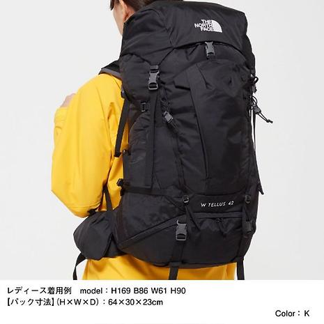 リュック/バックパック週末限定値下げ！the north face tellus 42