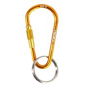 マイクロスクリュー