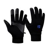 フラッドラッシュEXPグローブ