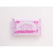 エピスタ プロプル やさしいウエットティッシュ （ハンディタイプ）