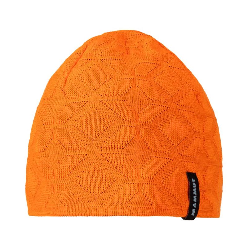 Nordwand Beanie | MAMMUT | マムート | 1191-05822_2221-好日山荘