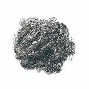 EV公式タワシアフロ君