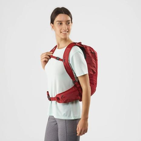 Salomon Trail Blazer 20L 赤 Salomon Trailblazer 20L Hydration Pack - Hike & Camp