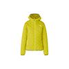 THE NORTH FACE ノースフェイス アストロライトフーディ ダウン