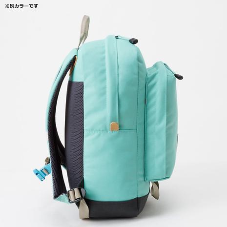 ホットショットミニ キッズ / K Hot Shot Mini | THE NORTH FACE | ザ