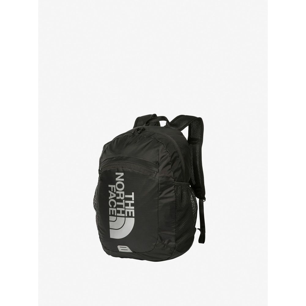 THE NORTH FACE FLYWEIGHT RECON 22L