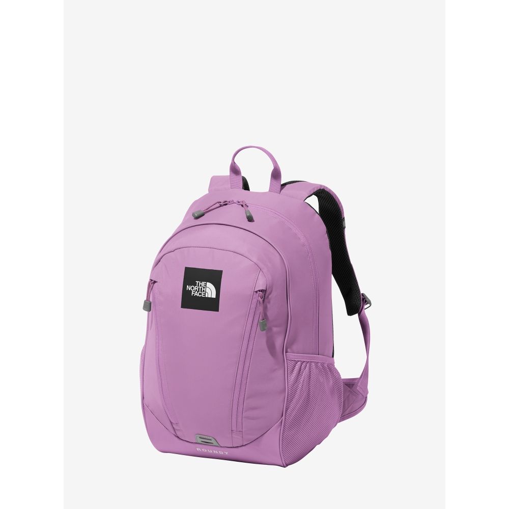 THE NORTH FACE ノースフェイス リュック キッズ スモールデイ