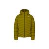 ノースフェイス サンダージャケット XL PN パインニードル 楽天市場】 THE NORTH FACE(ザ・ノース・フェイス) THUNDER