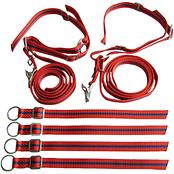 エキスパート型固定バンド