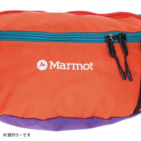 フォロワーヒップパック / Follower Hip Pack TSFUB205 ベージュ